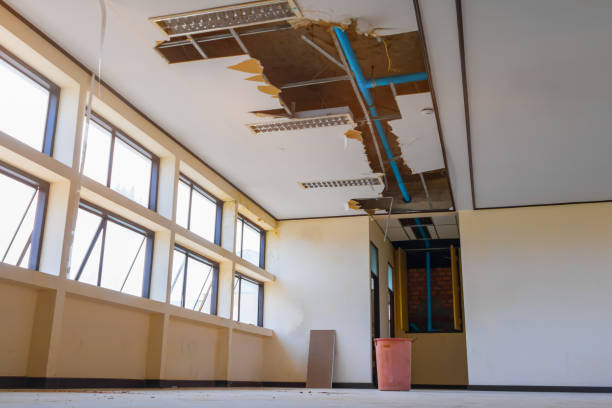 Best Emergency water damage restoration  in Coloma, MI
