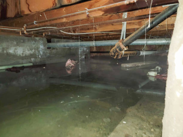 Best Commercial water damage restoration  in Coloma, MI