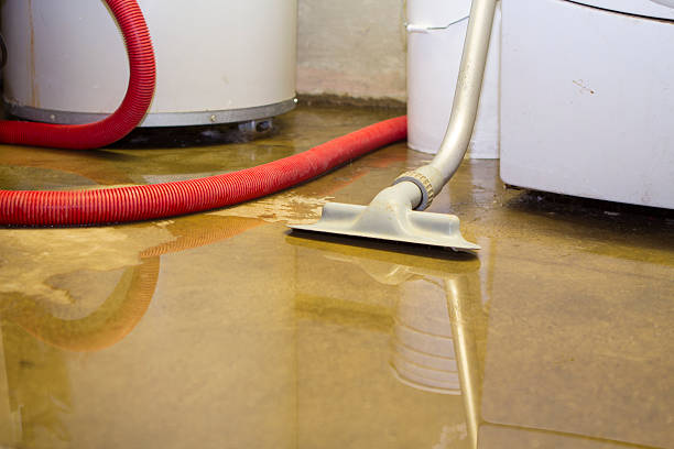 Reliable Coloma, MI Water damage restoration Solutions
