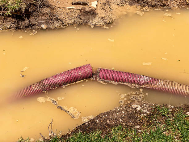  Coloma, MI Water damage restoration Pros