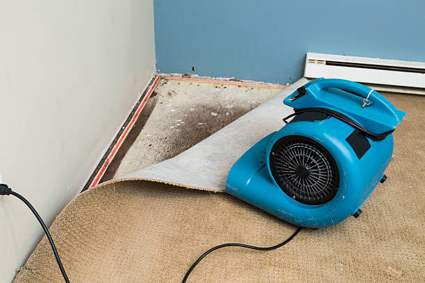 Best Flood damage cleanup  in Coloma, MI